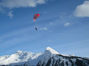 Paragliding - Getaway Vans